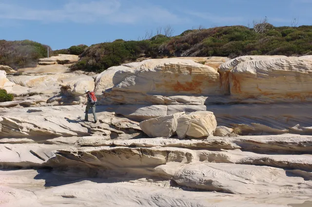 Royal National Park — photograph 38