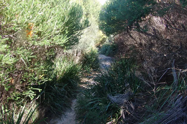 Royal National Park — photograph 40