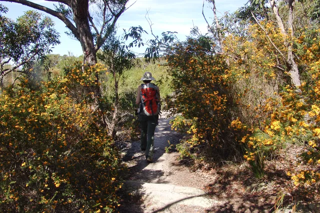 Royal National Park — photograph 51