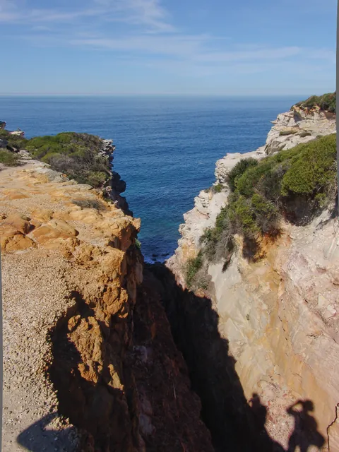 Royal National Park — photograph 52