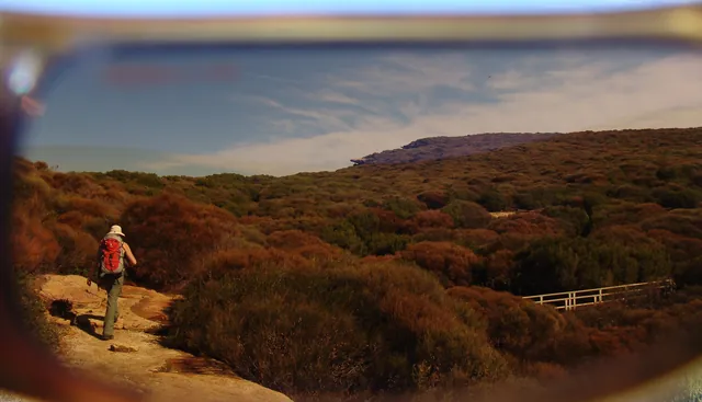 Royal National Park — photograph 54