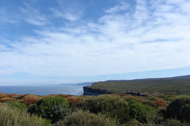 Royal National Park — photograph 57