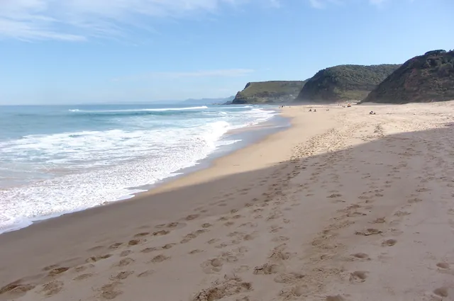 Royal National Park — photograph 62