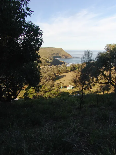 Royal National Park — photograph 69
