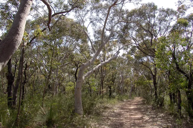 In contrast to the Coast Walk, this route takes you into the heart of the park bush country