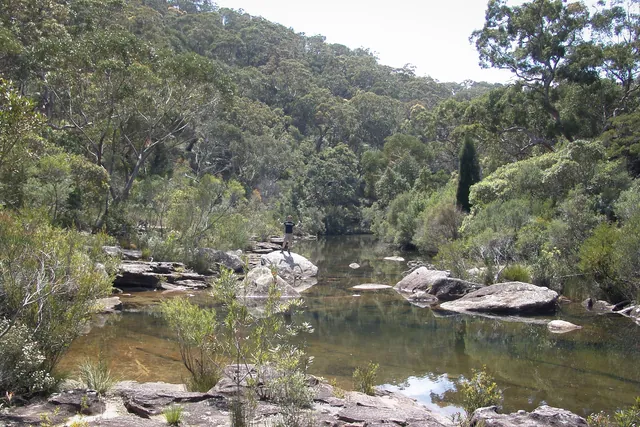 Royal National Park — photograph 13