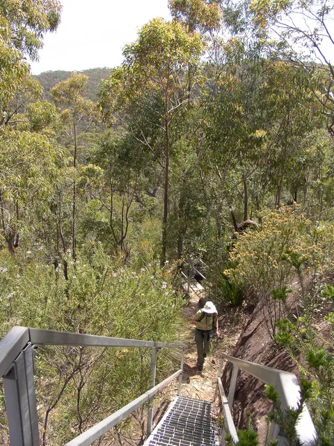 Royal National Park — photograph 16