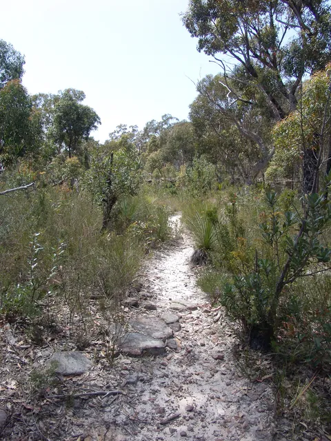Royal National Park — photograph 17