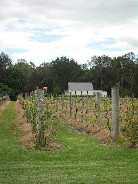 Passing by the very quaint Pepper Tree Wines which we would include as a mandatory stop on later trips