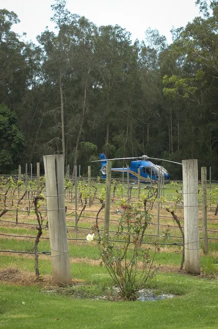 Clearly some money to be made in wine