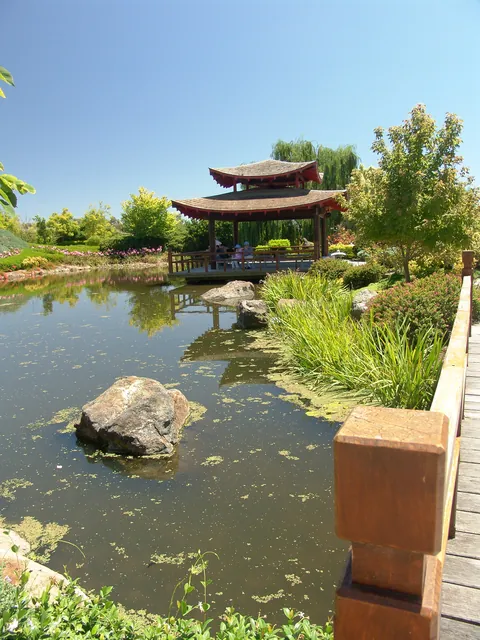 The tranquil Oriental Garden