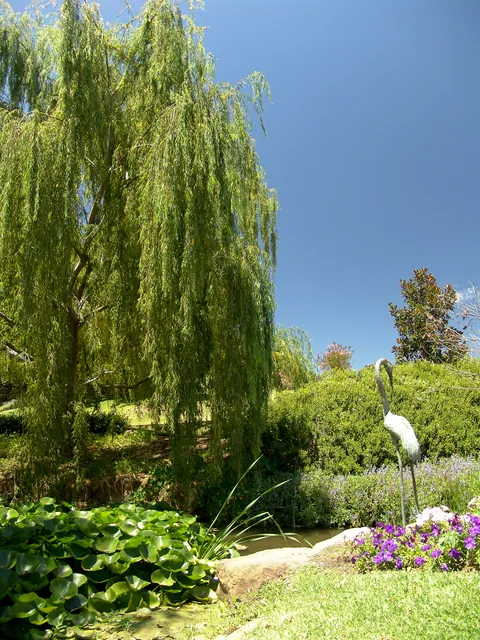 Hunter Valley — photograph 68