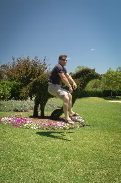 The virtual horse ride - like a boss!