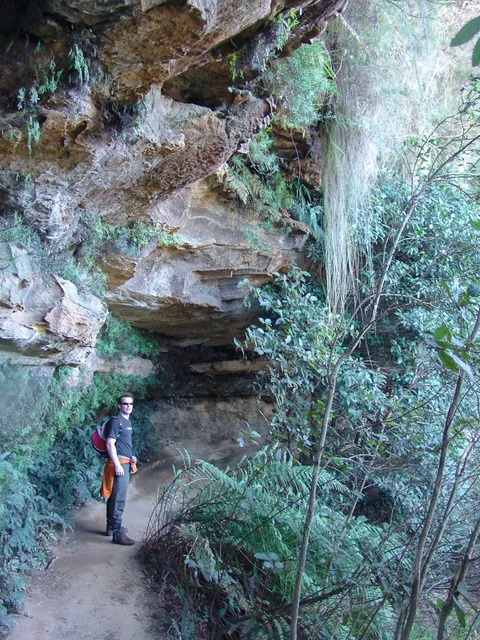 Blue Mountains — photograph 19