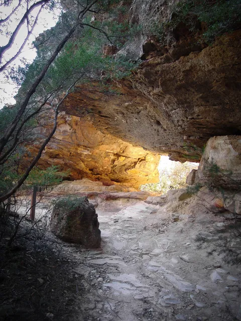 Blue Mountains — photograph 24