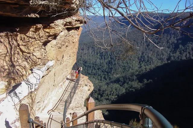 Blue Mountains — photograph 26