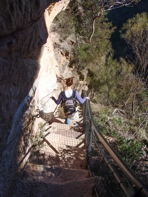 Blue Mountains — photograph 30