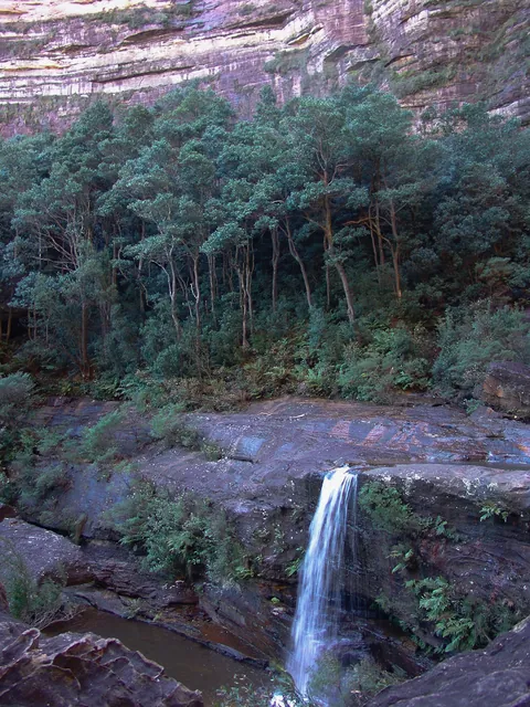 Blue Mountains — photograph 35