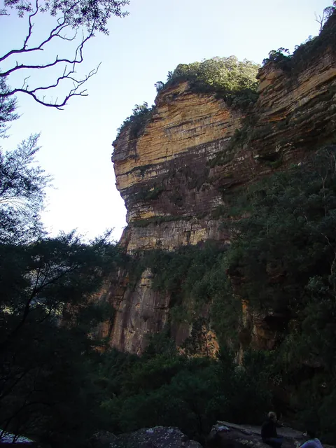 Blue Mountains — photograph 36