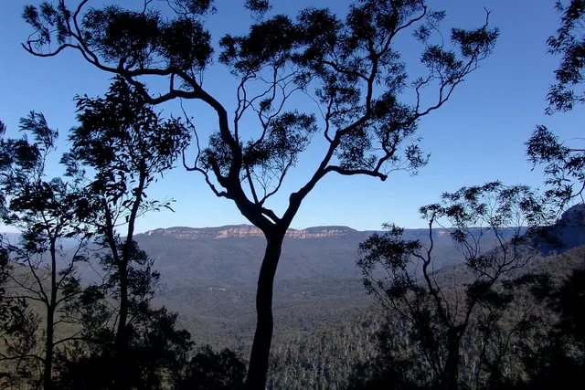 Blue Mountains — photograph 40