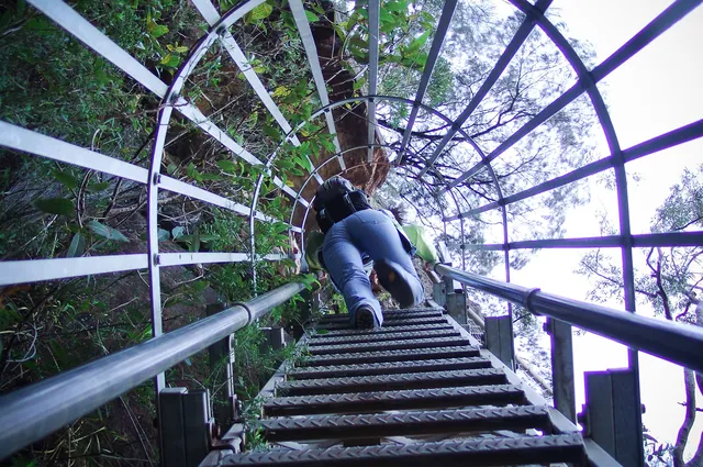 After much coaxing, Gill decides to overcome her fear of heights and make her way down