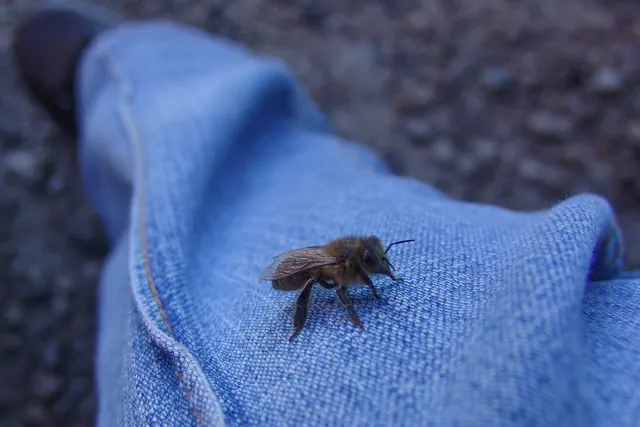 We were wary of dangerous critters, but this is about as scary as it got