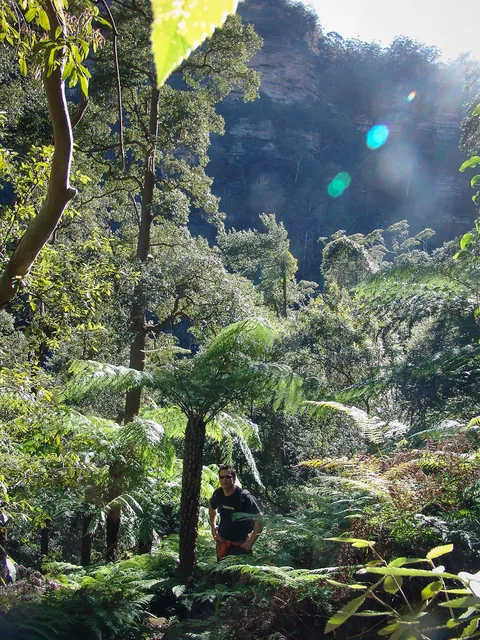 Jungle-esque conditions down here