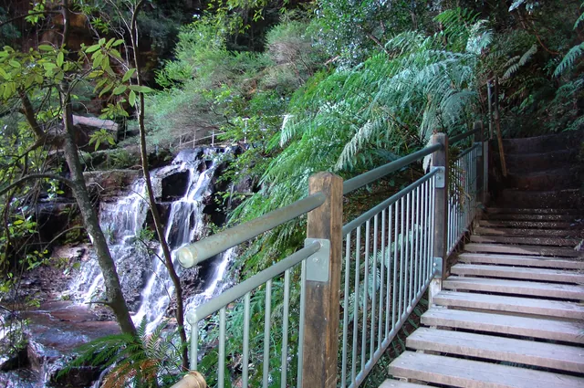 Blue Mountains — photograph 53