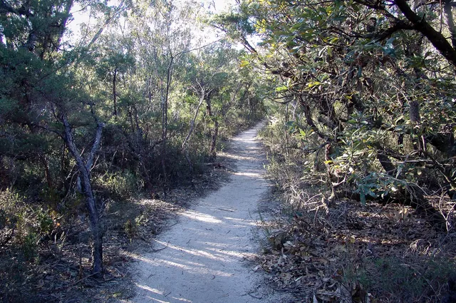 Blue Mountains — photograph 58