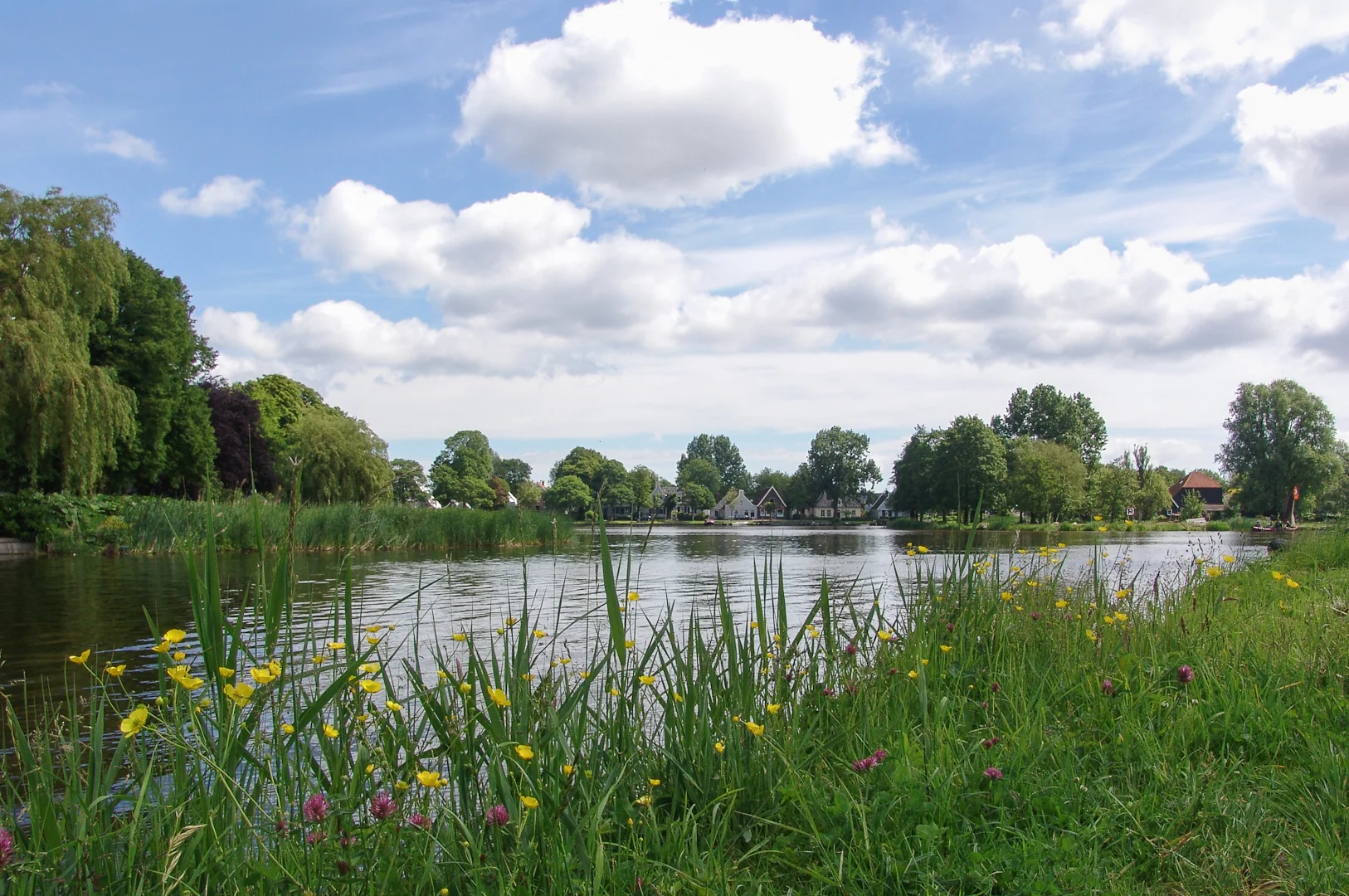 Amsterdam Waterland Cycling