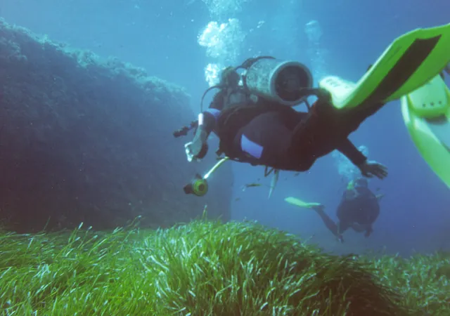 Some reasonable scuba diving but not a huge amount to see. We were so new to scuba back then it took a lot of effort just to concentrate on your technique