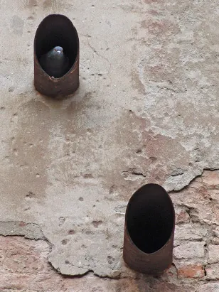 A pigeon finding shelter in a waste pipe
