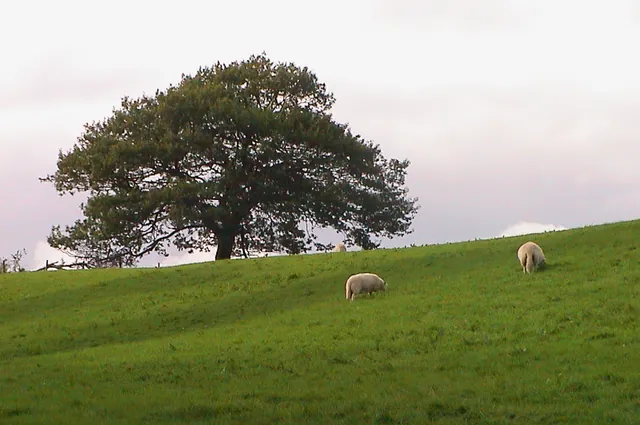 Classic Welsh countryside
