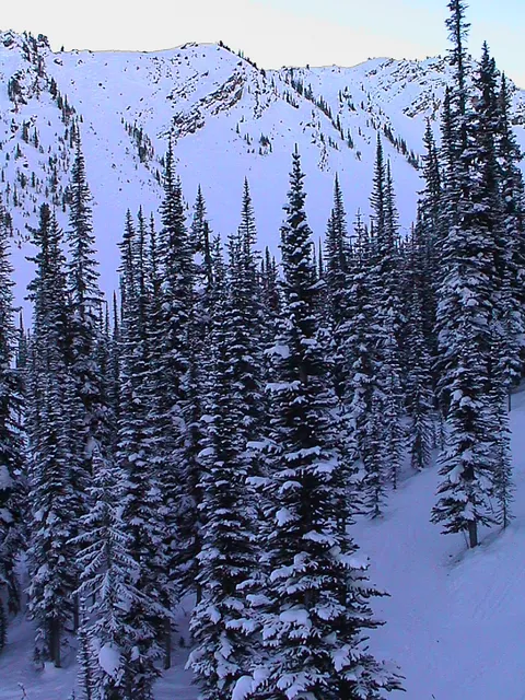 Kicking Horse — photograph 2