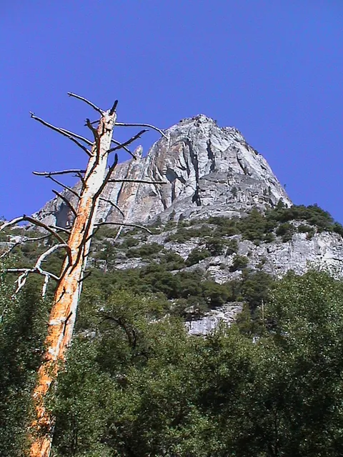Yosemite National Park — photograph 8