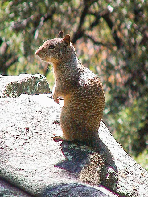 Yosemite National Park — photograph 9
