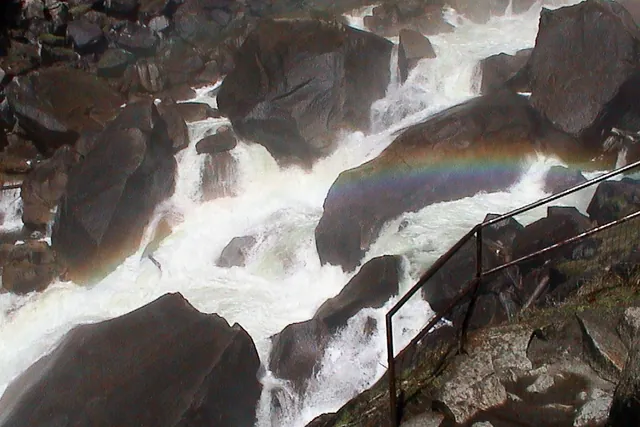 Yosemite National Park — photograph 14