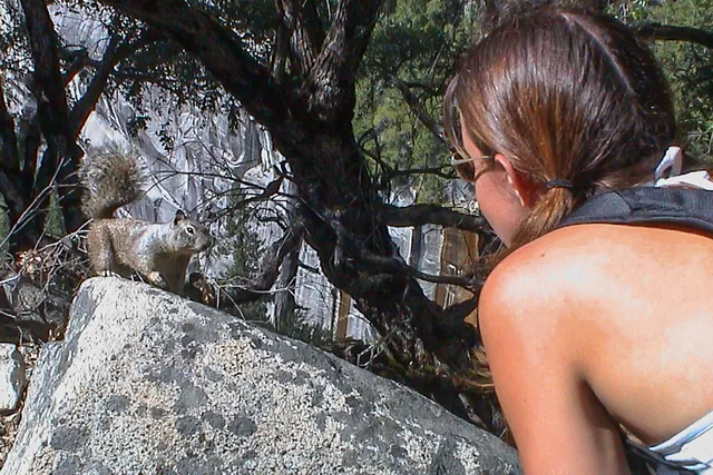 Yosemite National Park — photograph 22