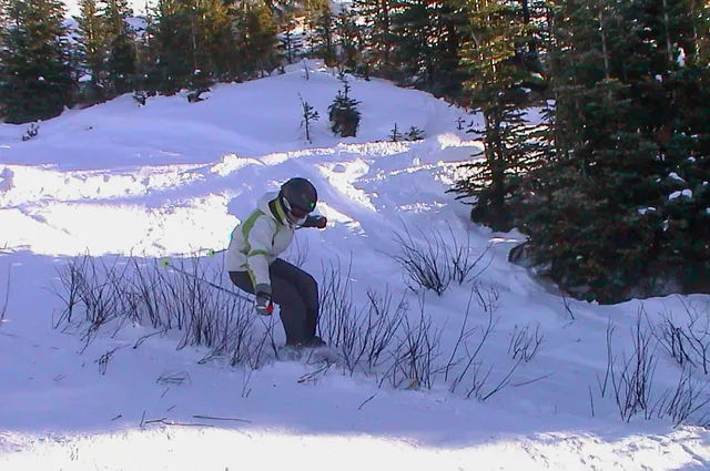 "They didn't teach my to look out for this obstacle in ski school??"