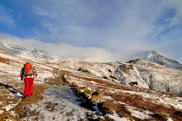 Gilly avoiding the icy path