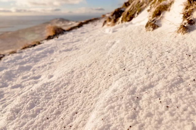 The snow pellets looked like polystyrene on this path