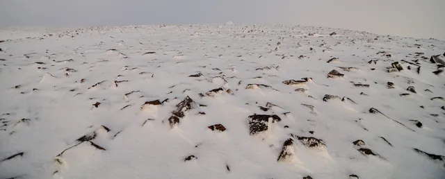 This is the view looking across the summit surface. The actual mountain summit is a few KMs walk from here but this was enough for my day trip