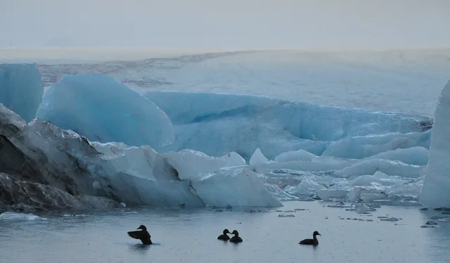 Jokulsarlon — photograph 9