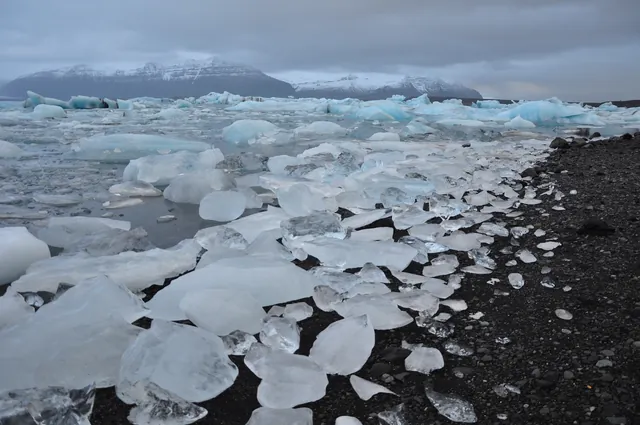 Loving this big ice cube effect on the shore - better examples to come