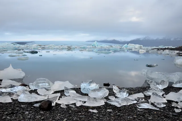 The tail of the Breiðamerkurjökull glacier can be seen at the end of the lagoon