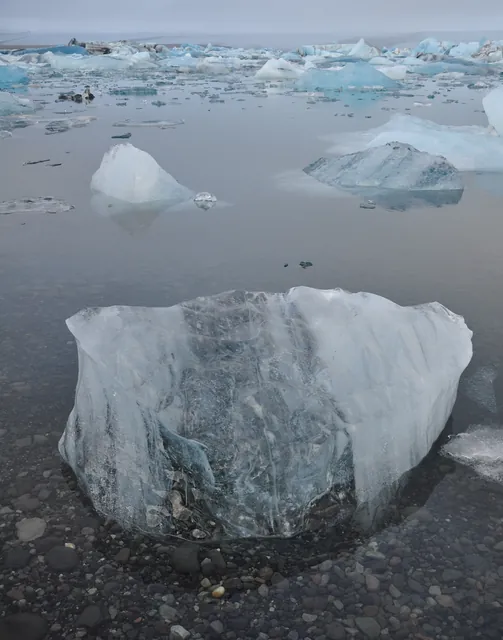 Jokulsarlon — photograph 23