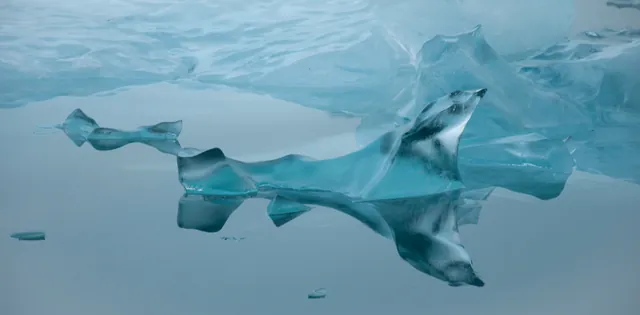 Jokulsarlon — photograph 46