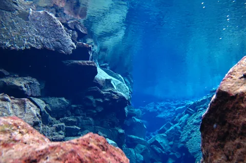 The water is really clear once you're under the surface