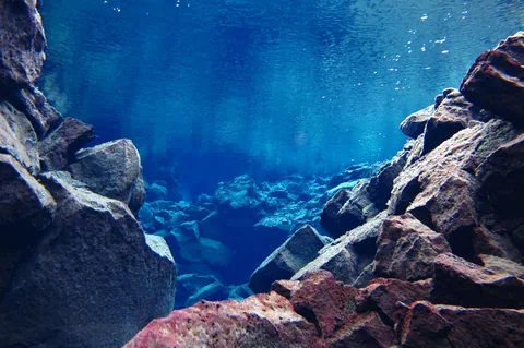 Scuba Diving Silfra — photograph 9