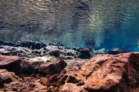 Scuba Diving Silfra — photograph 10